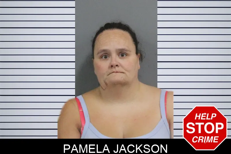 Pamela Jackson mugshot – Catoosa County , Georgia Pamela Jackson mugshot