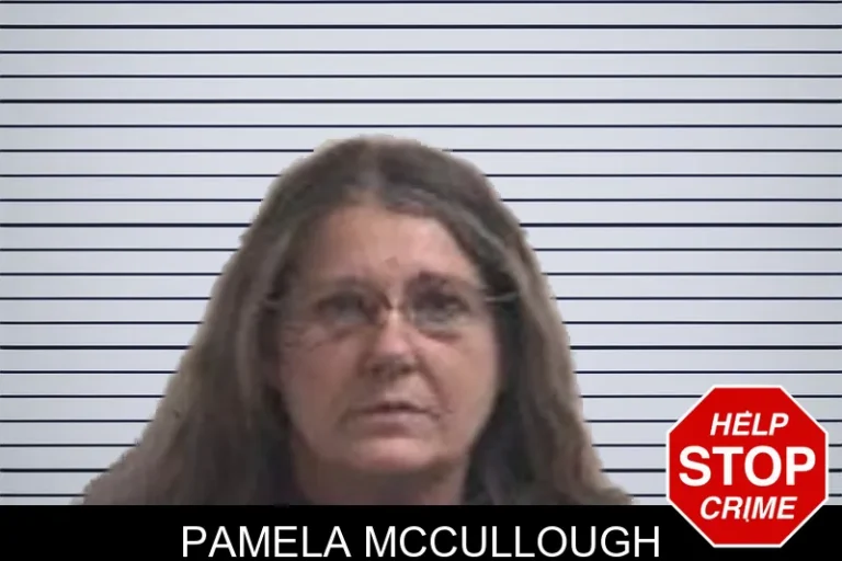 Pamela McCullough mugshot – Henry County , Georgia Pamela McCullough