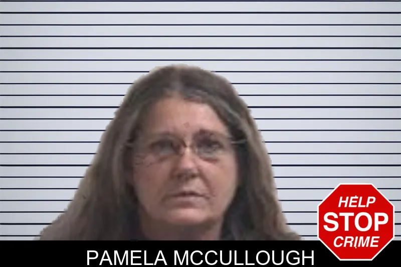 Pamela McCullough mugshot – Henry County , Georgia Pamela McCullough mugshot