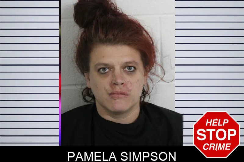 Pamela Simpson Mugshots