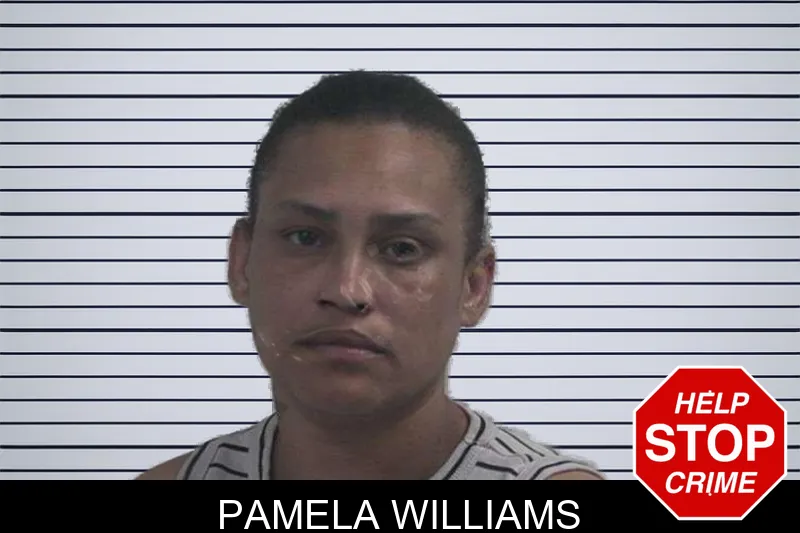 Pamela Williams Mugshots