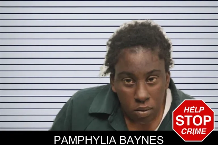 Pamphylia Baynes mugshot – Chatham County , Georgia Pamphylia Baynes