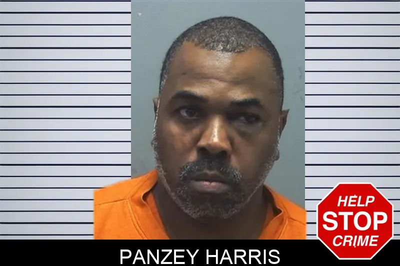 Panzey Harris Mugshots