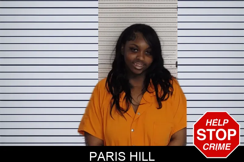 Paris Hill Mugshots