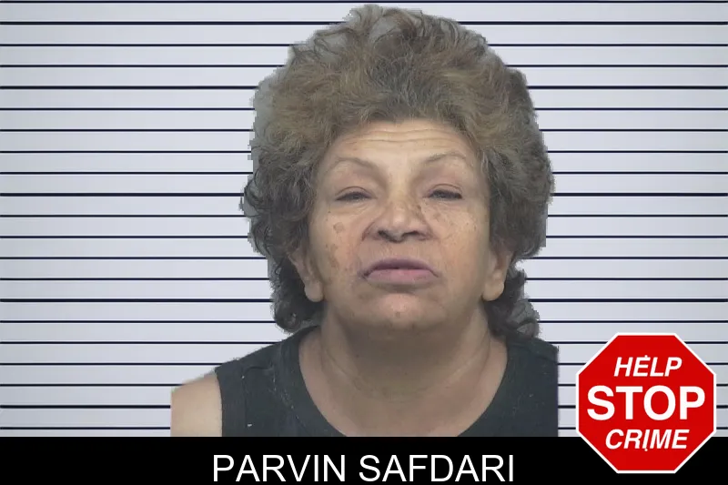 Parvin Safdari of Gwinnett County, Georgia Parvin Safdari Mugshots
