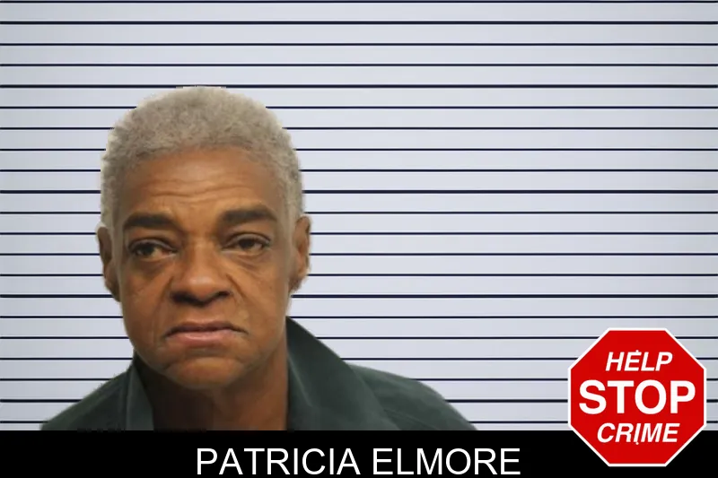 Patricia Elmore mugshot – Chatham County , Georgia Patricia Elmore mugshot