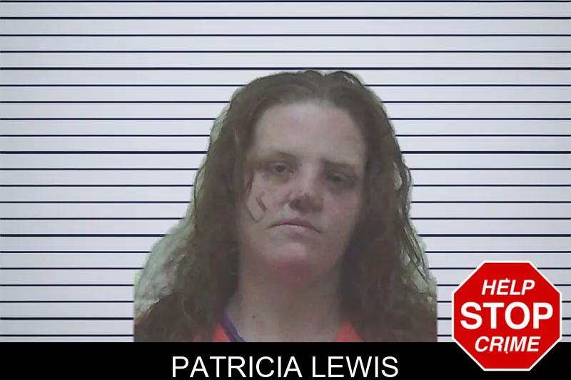 Patricia Lewis Mugshots