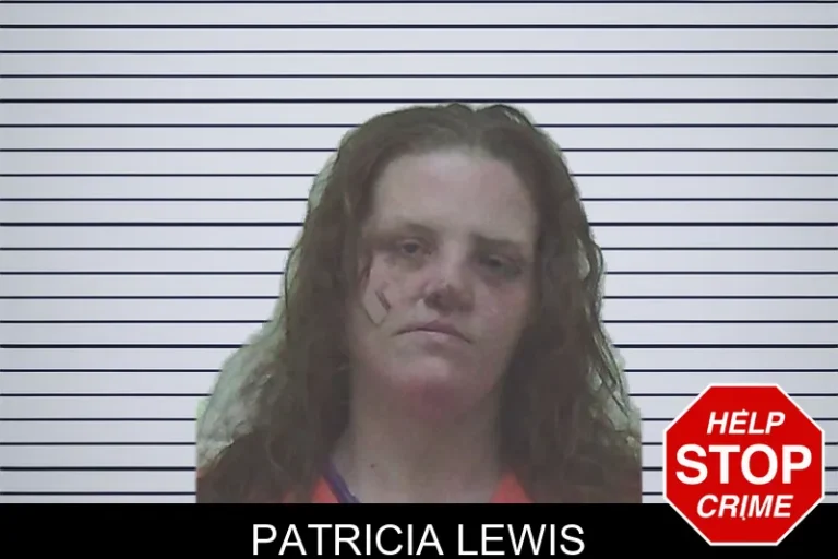 Patricia Lewis mugshot – Worth County , Georgia Patricia Lewis