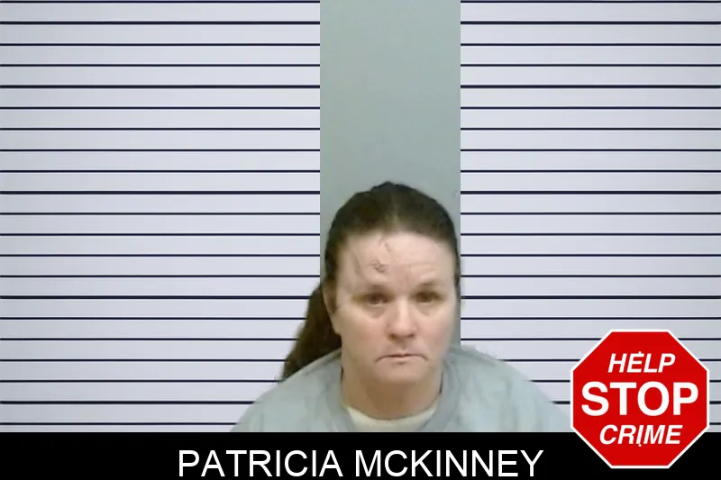 Patricia McKinney mugshot – Fulton County , Georgia Patricia McKinney mugshot