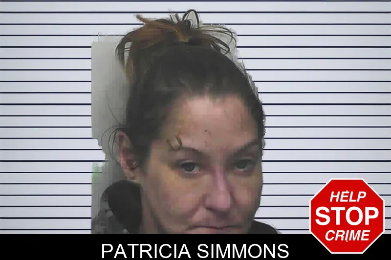 Patricia Simmons mugshot