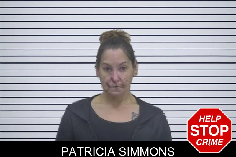 Patricia Simmons mugshot