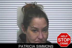 Patricia Simmons mugshot