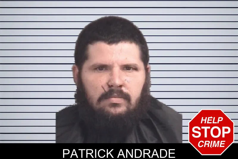 Patrick Andrade Mugshots