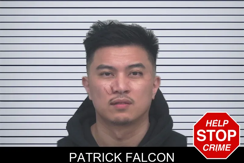 Patrick Falcon mugshot
