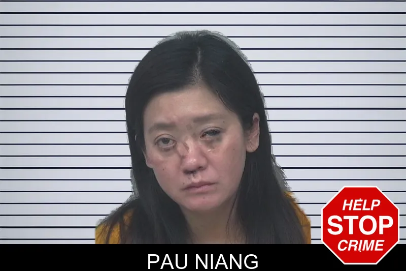 Pau Niang mugshot – Gwinnett County , Georgia Pau Niang mugshot