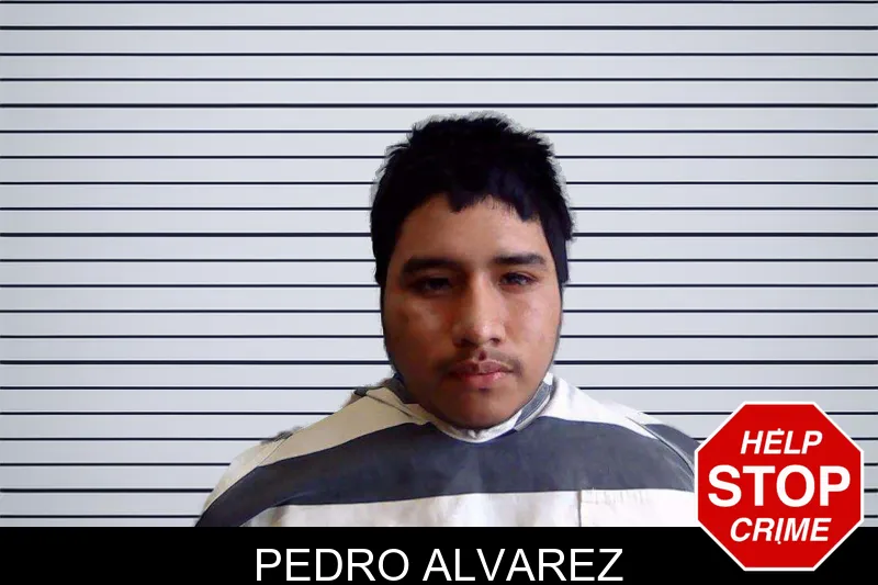 Pedro Alvarez Mugshots