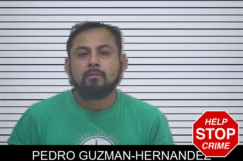 Pedro Guzman-Hernandez Mugshots