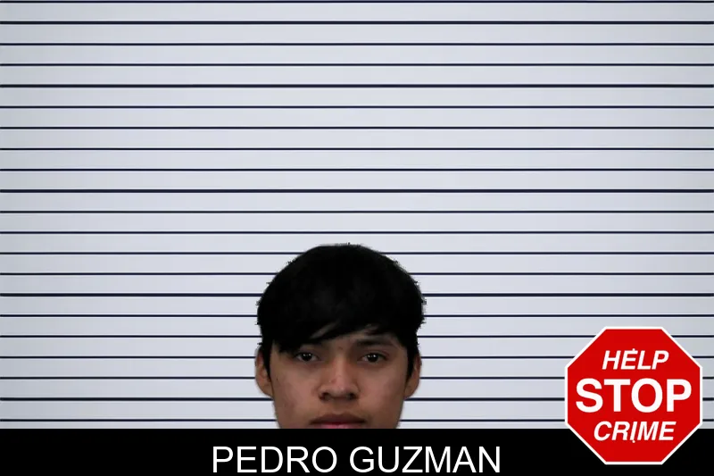 Pedro Guzman mugshot – Hart County , Georgia Pedro Guzman mugshot