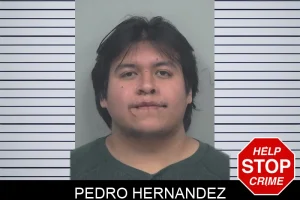Pedro Hernandez mugshot
