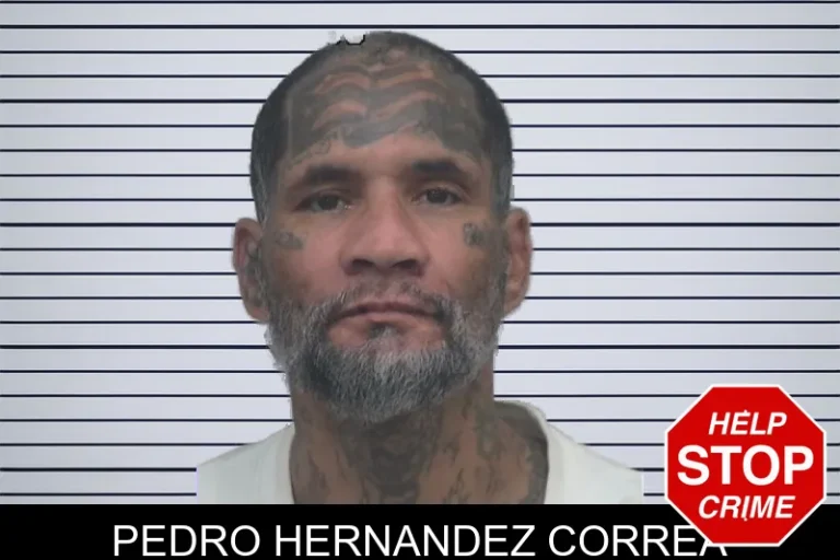 Pedro Hernandez Correa mugshot – Gwinnett County , Georgia Pedro Hernandez Correa