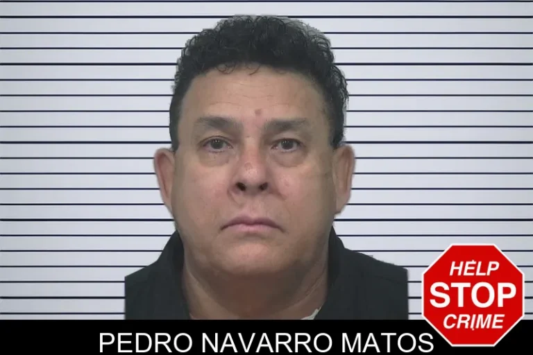 Pedro Navarro Matos