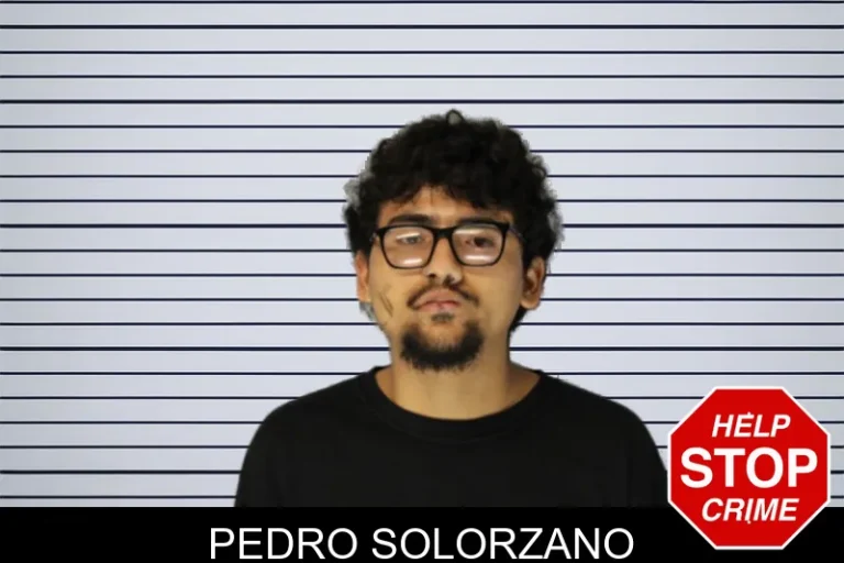 Pedro Solorzano