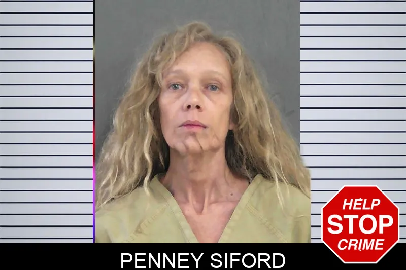 Penney Siford mugshot – Gordon County , Georgia Penney Siford mugshot