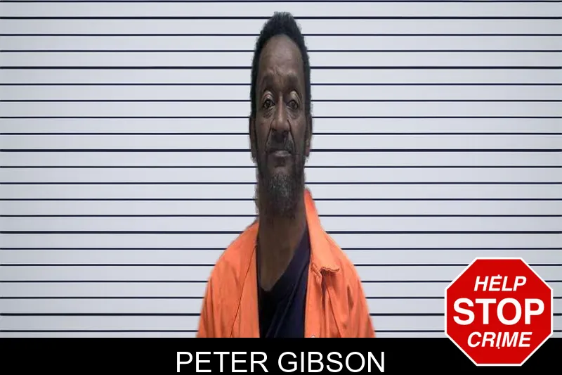 Peter Gibson Mugshots