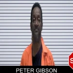 Peter Gibson Mugshots