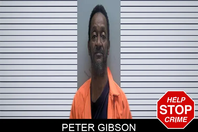 Peter Gibson Mugshots