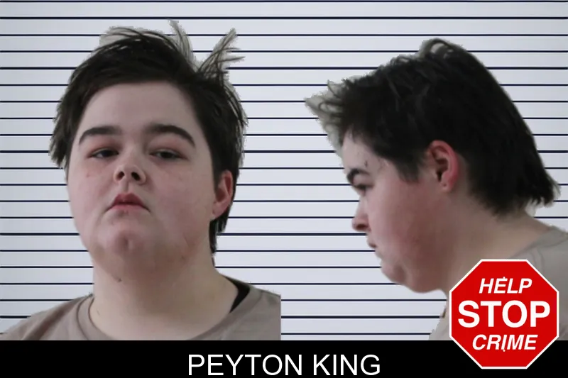 Peyton King Mugshots