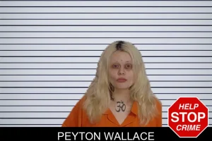 Peyton Wallace mugshot