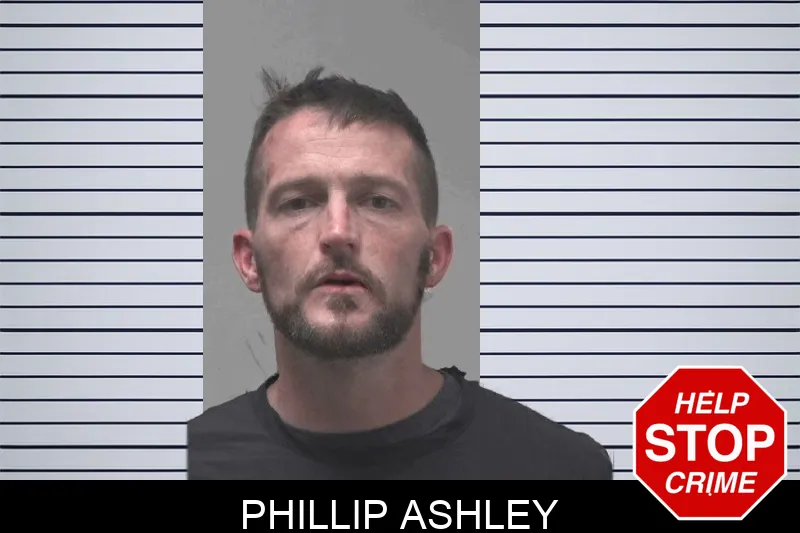 Phillip Ashley Mugshots