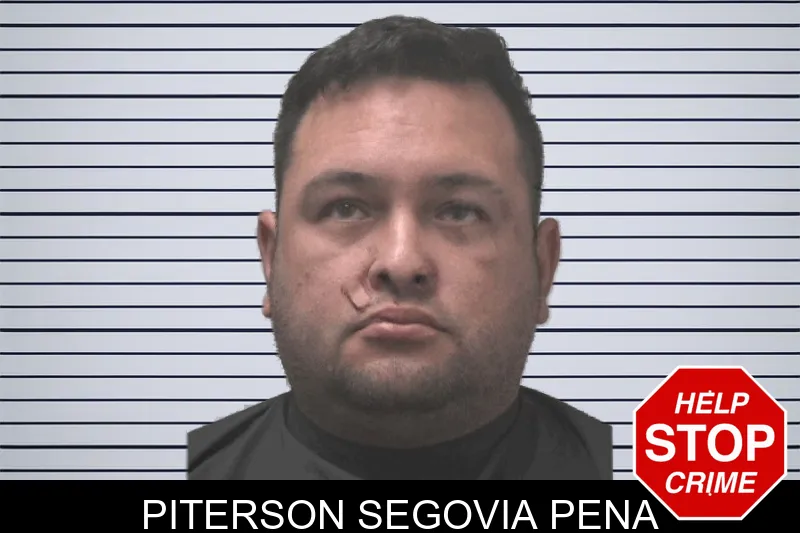 Piterson Segovia Pena Mugshots
