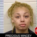 Precious Mincey Mugshots