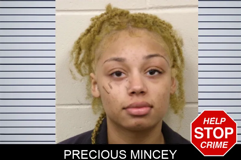 Precious Mincey Mugshots