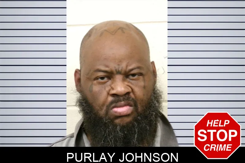 Purlay Johnson mugshot – Bulloch County , Georgia Purlay Johnson mugshot