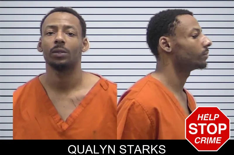 Qualyn Starks Mugshots