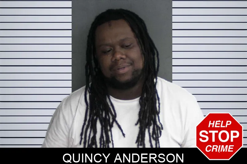 Quincy Anderson Mugshots