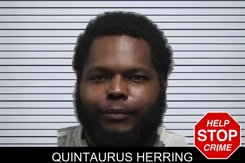Quintaurus Herring Mugshots