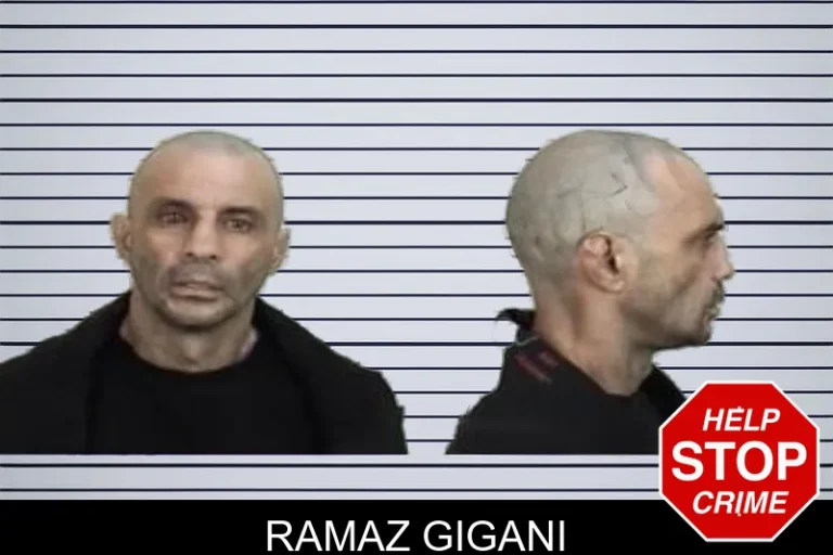 Ramaz Gigani mugshot – Camden County , Georgia Ramaz Gigani
