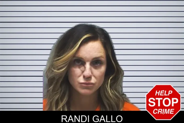 Randi Gallo mugshot – Cherokee County , Georgia Randi Gallo