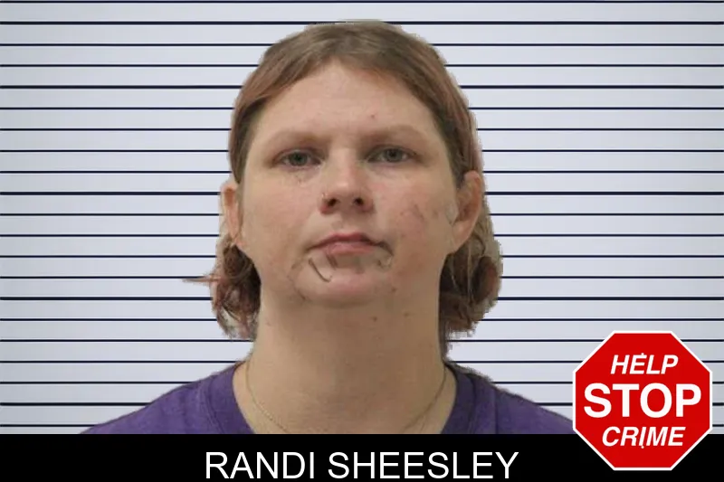 Randi Sheesley mugshot