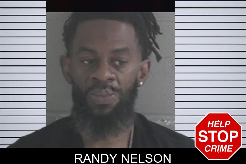 Randy Nelson Mugshots