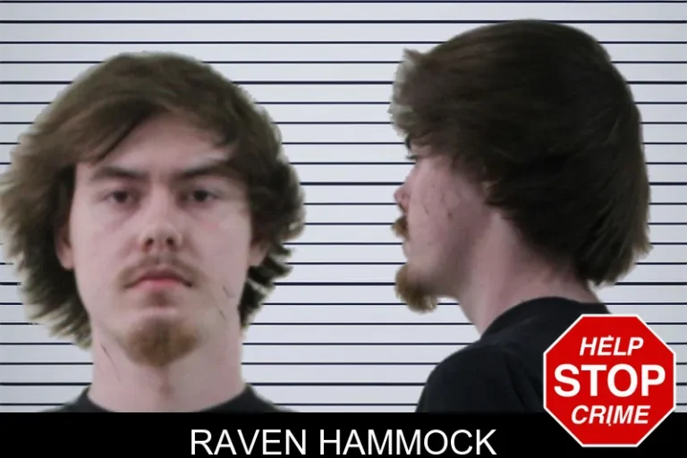 Raven Hammock