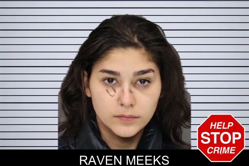 Raven Meeks mugshot