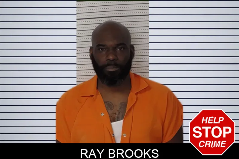 Ray Brooks Mugshots