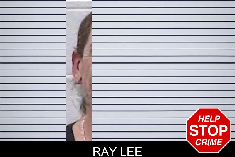 Ray Lee Mugshots