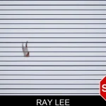 Ray Lee Mugshots