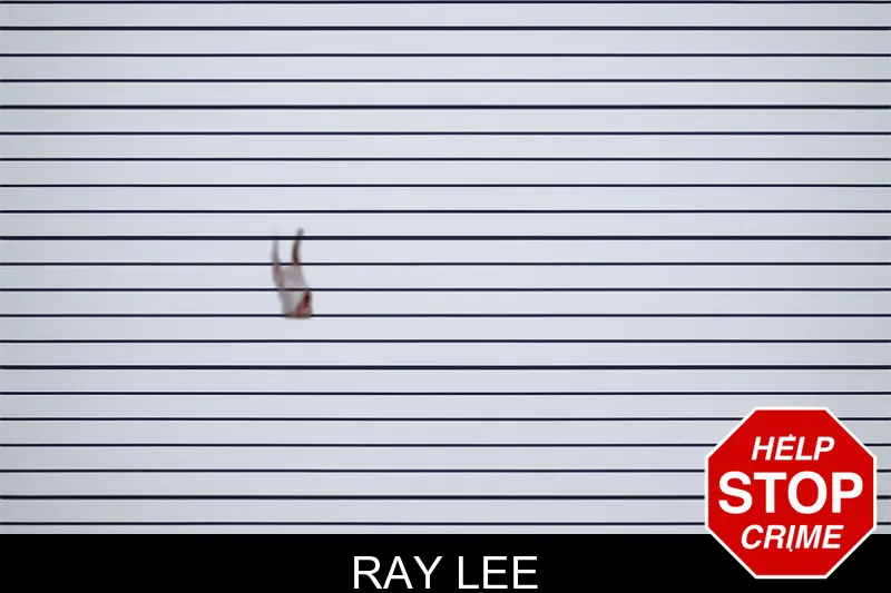 Ray Lee Mugshots